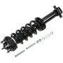 Autopart International Strut/Coil Spring Assy 2701685309