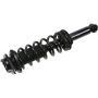 Autopart International Strut/Coil Spring Assy 2701685316