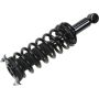 Autopart International Strut/Coil Spring Assy 2701685318