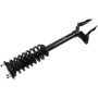 Autopart International Strut/Coil Spring Assy 2701685327