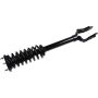Autopart International Strut/Coil Spring Assy 2701685328