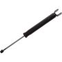 Autopart International Shock Absorber 2701698815