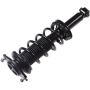 Autopart International Strut/Coil Spring Assy 2701700446