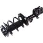 Autopart International Strut/Coil Spring Assy 2701700450