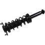 Autopart International Strut/Coil Spring Assy 2701700454