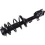 Autopart International Strut/Coil Spring Assy 2701700456