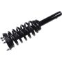 Autopart International Strut/Coil Spring Assy 2701700460