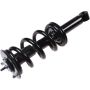 Autopart International Strut/Coil Spring Assy 2701700461