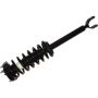 Autopart International Strut/Coil Spring Assy 2701700462