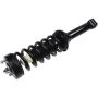Autopart International Strut/Coil Spring Assy 2701700463
