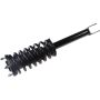Autopart International Strut/Coil Spring Assy 2701700465