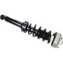 Autopart International Strut/Coil Spring Assy 2701700466
