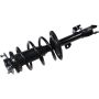 Autopart International Strut/Coil Spring Assy 2701700483
