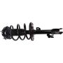 Autopart International Strut/Coil Spring Assy 2701700484