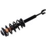 Autopart International Strut/Coil Spring Assy 2701700491