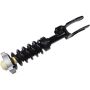 Autopart International Strut/Coil Spring Assy 2701700492