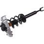 Autopart International Strut/Coil Spring Assy 2701700495