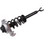 Autopart International Strut/Coil Spring Assy 2701700496