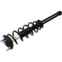 Autopart International Strut/Coil Spring Assy 2701700503