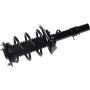 Autopart International Strut/Coil Spring Assy 2701700513