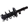 Autopart International Strut/Coil Spring Assy 2701700514