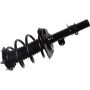 Autopart International Strut/Coil Spring Assy 2701700516