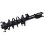 Autopart International Strut/Coil Spring Assy 2701700521