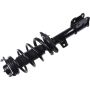 Autopart International Strut/Coil Spring Assy 2701700522