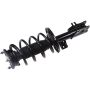 Autopart International Strut/Coil Spring Assy 2701700534
