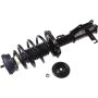 Autopart International Strut/Coil Spring Assy 2701700539