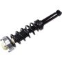 Autopart International Strut/Coil Spring Assy 2701700778