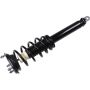 Autopart International Strut/Coil Spring Assy 2701700779