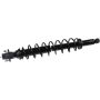 Autopart International Strut/Coil Spring Assy 2701700780