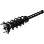 Autopart International Strut/Coil Spring Assy 2701700782
