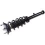 Autopart International Strut/Coil Spring Assy 2701700783