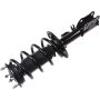 Autopart International Strut/Coil Spring Assy 2701700786