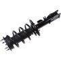 Autopart International Strut/Coil Spring Assy 2701700788