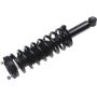 Autopart International Strut/Coil Spring Assy 2701704780