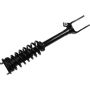 Autopart International Strut/Coil Spring Assy 2701709642