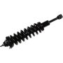 Autopart International Strut/Coil Spring Assy 2701709646