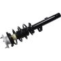 Autopart International Strut/Coil Spring Assy 2701709655