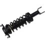 Autopart International Strut/Coil Spring Assy 2701709663