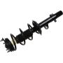 Autopart International Strut/Coil Spring Assy 2701709672