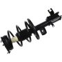 Autopart International Strut/Coil Spring Assy 2701709691
