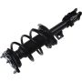 Autopart International Strut/Coil Spring Assy 2701709697