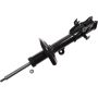 Autopart International Strut Assembly 2701710017