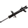 Autopart International Strut Assembly 2701710018