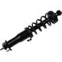 Autopart International Strut/Coil Spring Assy 2701710315