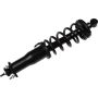 Autopart International Strut/Coil Spring Assy 2701710316