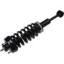 Autopart International Strut/Coil Spring Assy 2701710317